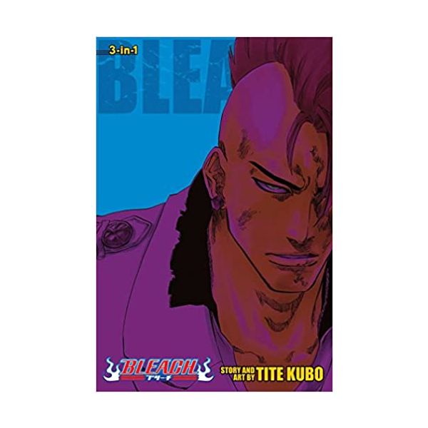 BLEACH (3-in-1 Edition), Vol. 23