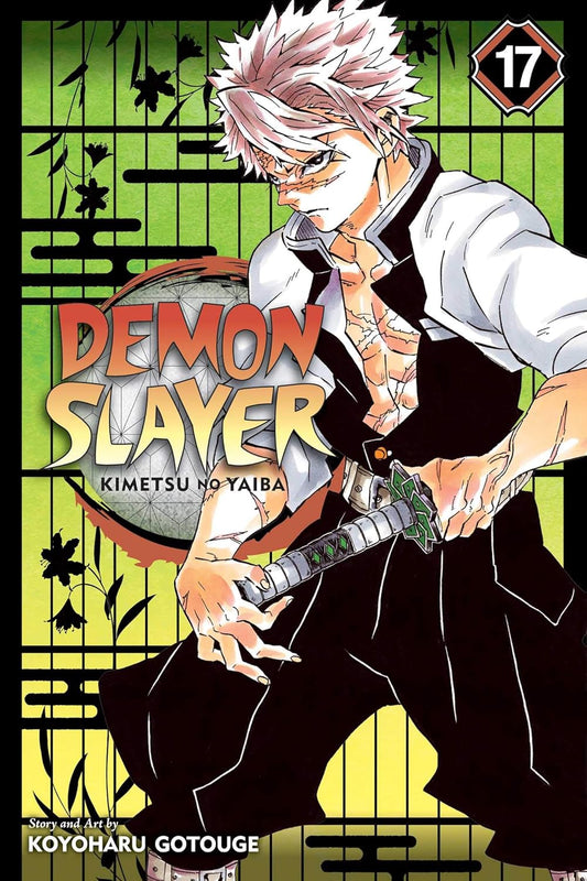 DEMON SLAYER VOL.17