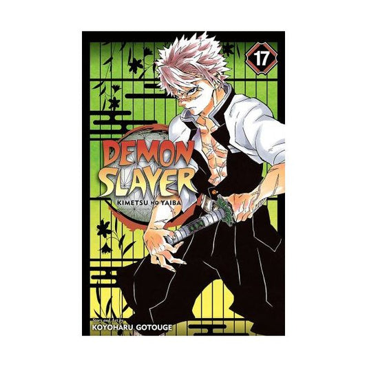 DEMON SLAYER: Kimetsu no Yaiba, Vol. 17